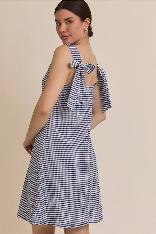 The Newport Gingham Mini Dress